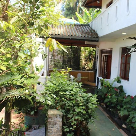 Alex Home Stay Канді Екстер'єр фото